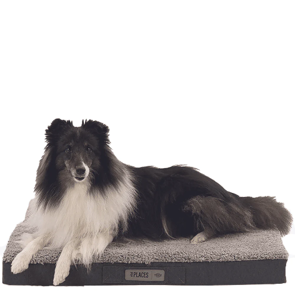 Trixie Bendson Vital Orthopaedic Mattress for Dogs (Grey) - Image 5