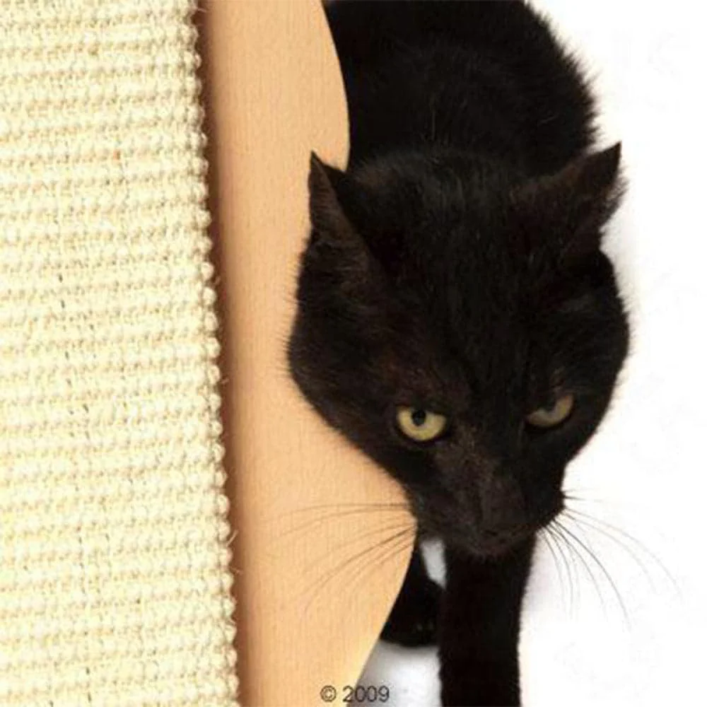 Trixie Cat Shaped Scratch Board for Cats - Image 3