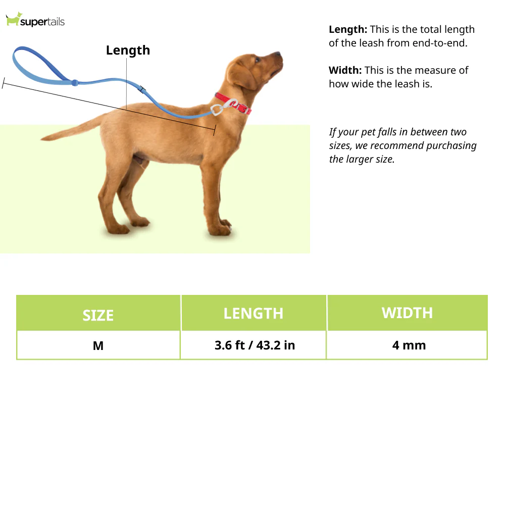 Trixie Chain Leash with Nylon Hand Loop for Dogs (Black) - Image 2