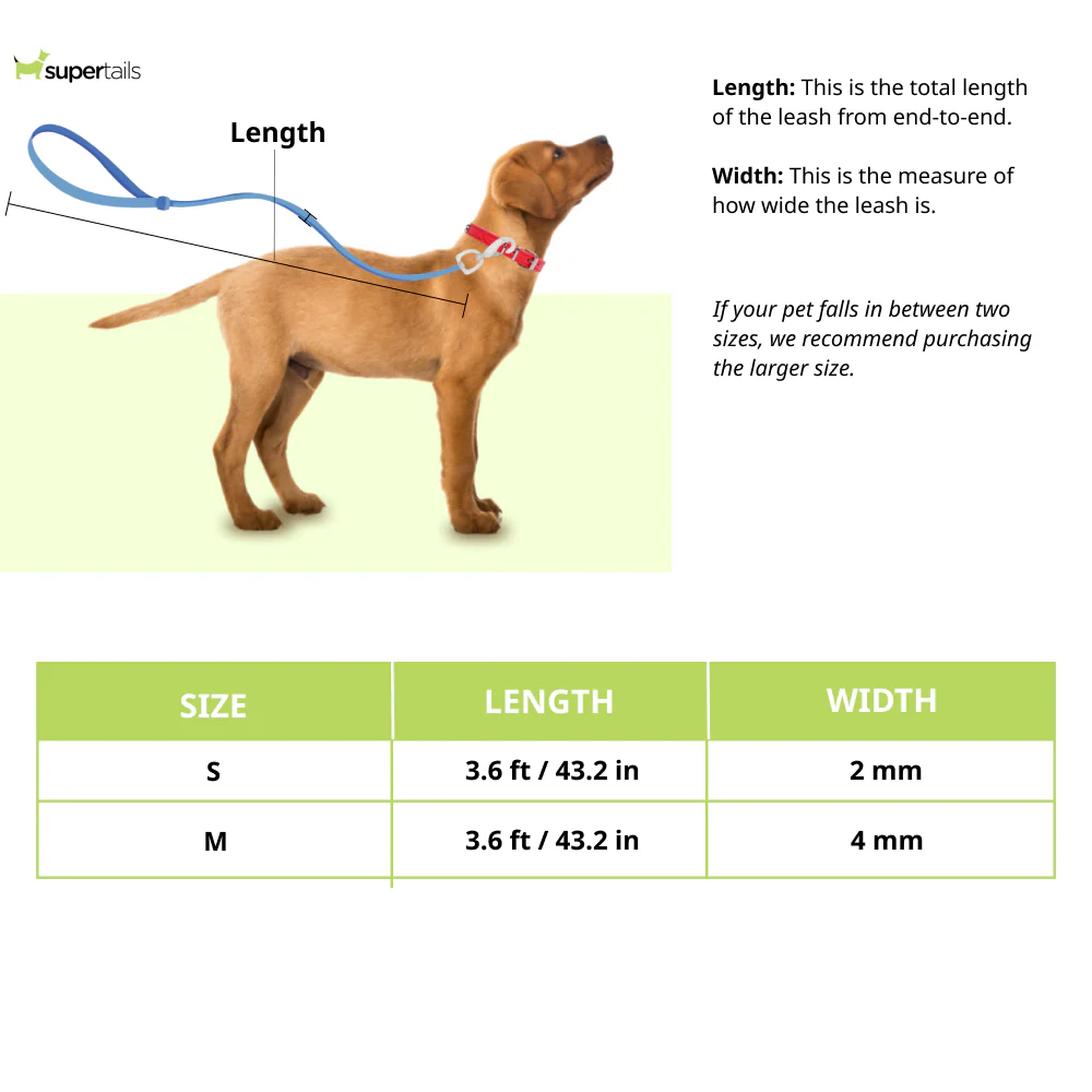 Trixie Chain Leash with Nylon Hand Loop for Dogs (Red) - Image 2