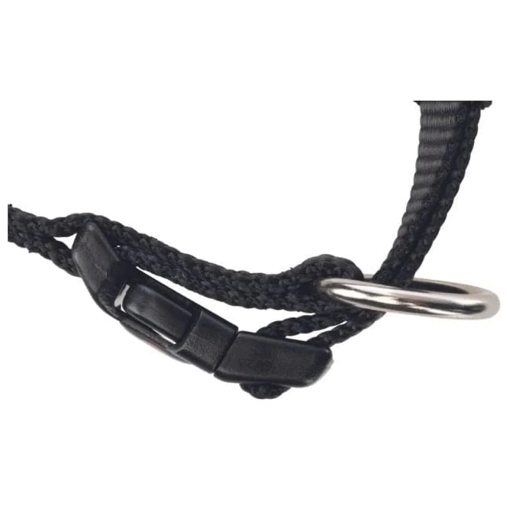 Trixie Classic Collar for Dogs (Black) - Image 3