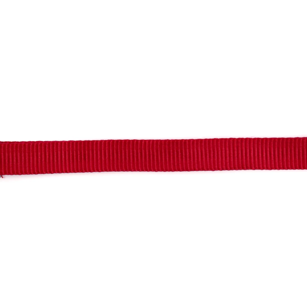 Trixie Classic Collar for Dogs (Red) - Image 4