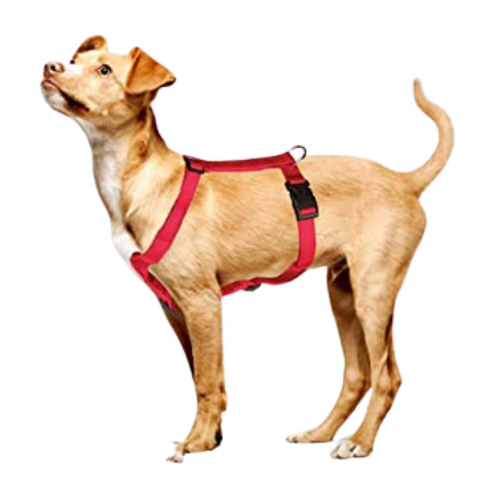 Trixie Classic H Harness for Dogs (Red) - Image 4