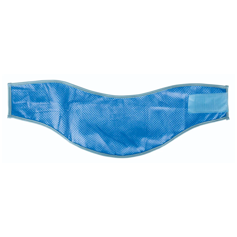 Trixie Cooling Bandana for Dogs (Blue) - Image 3