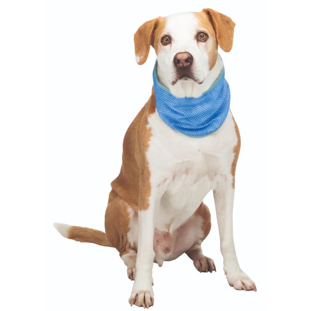 Trixie Cooling Bandana for Dogs (Blue) - Image 4