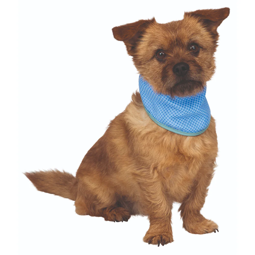 Trixie Cooling Bandana for Dogs (Blue) - Image 6