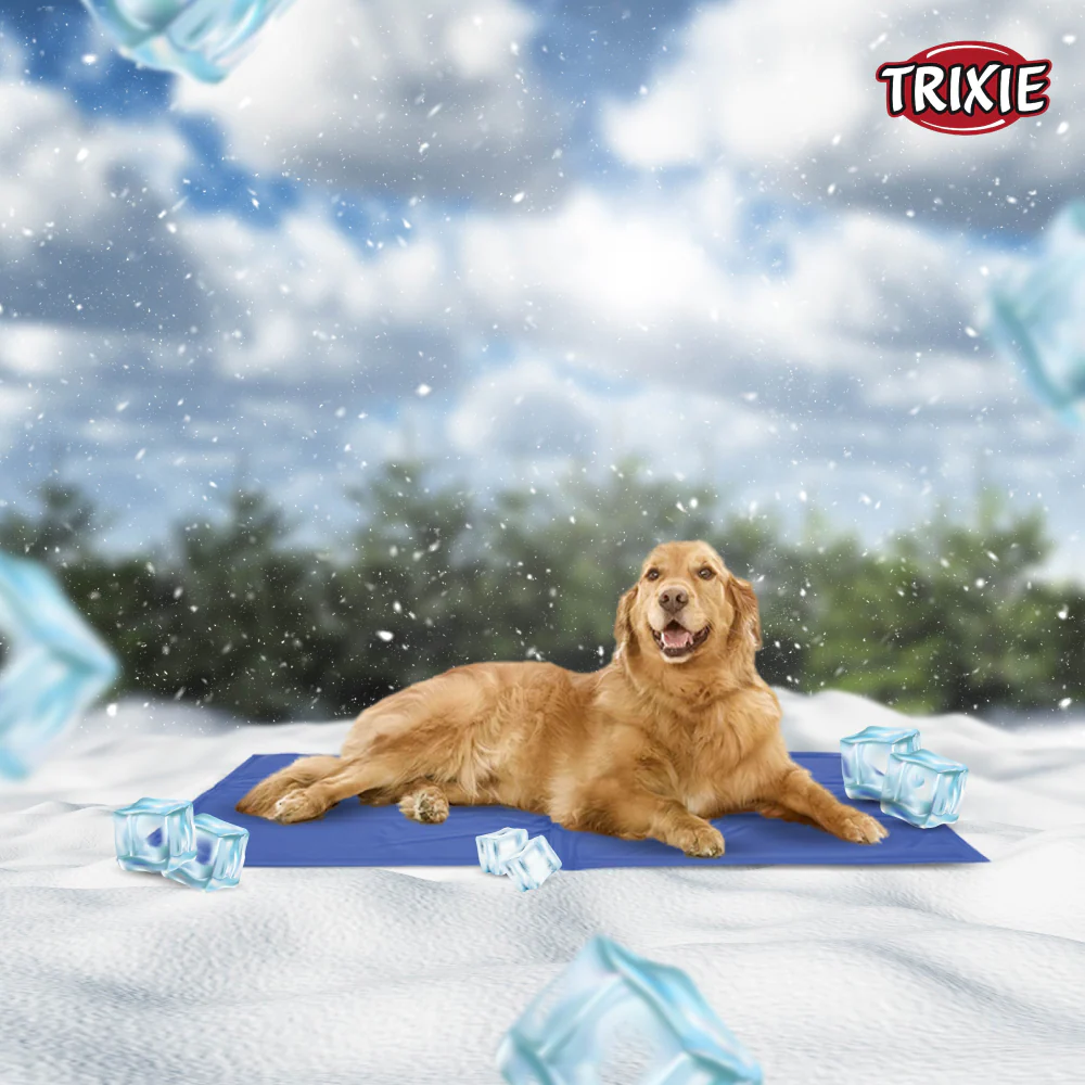 Trixie Cooling Mats for Dogs (Blue) - Image 6