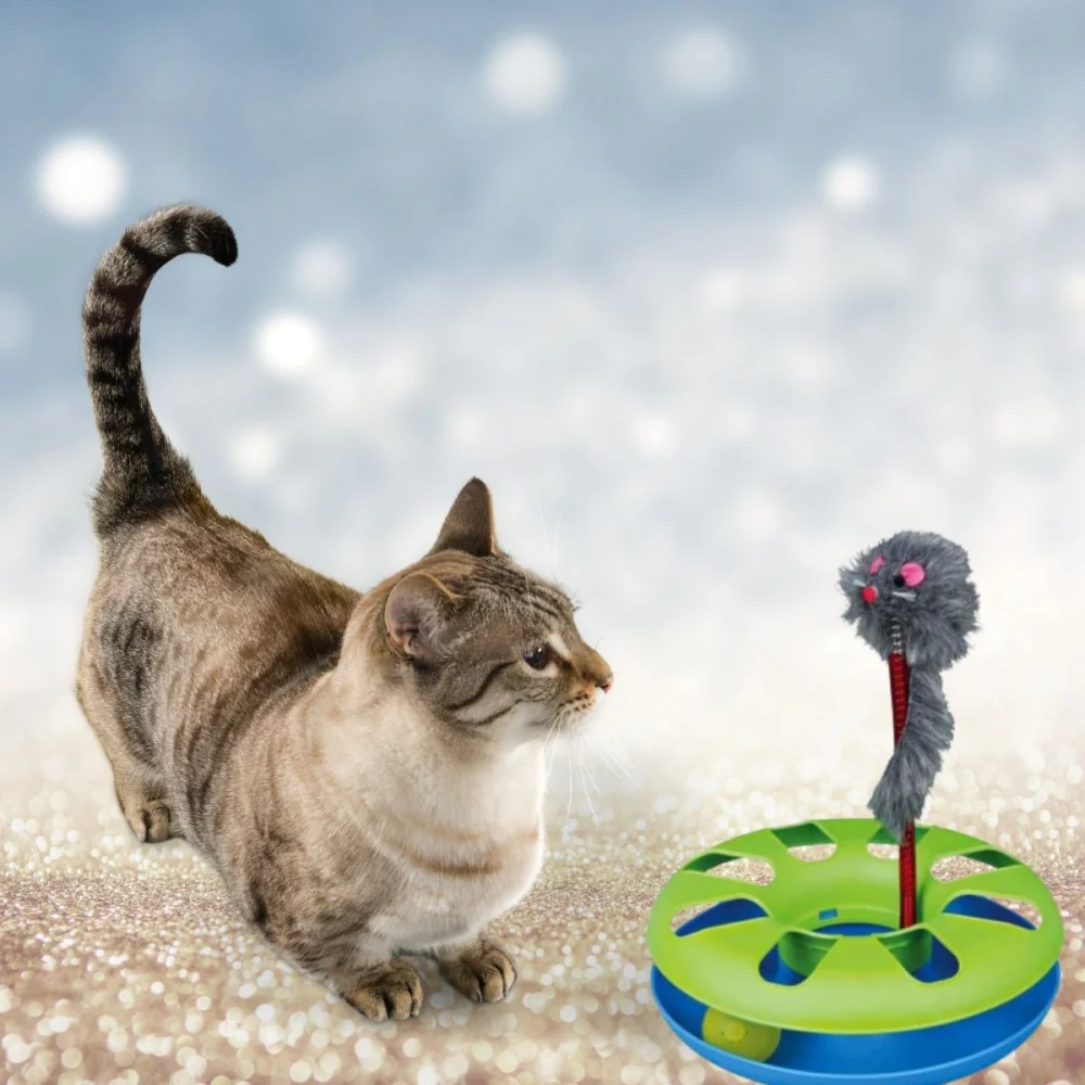 Trixie Crazy Circle with Plush Mouse Toy for Cats (Green/Blue) - Image 3