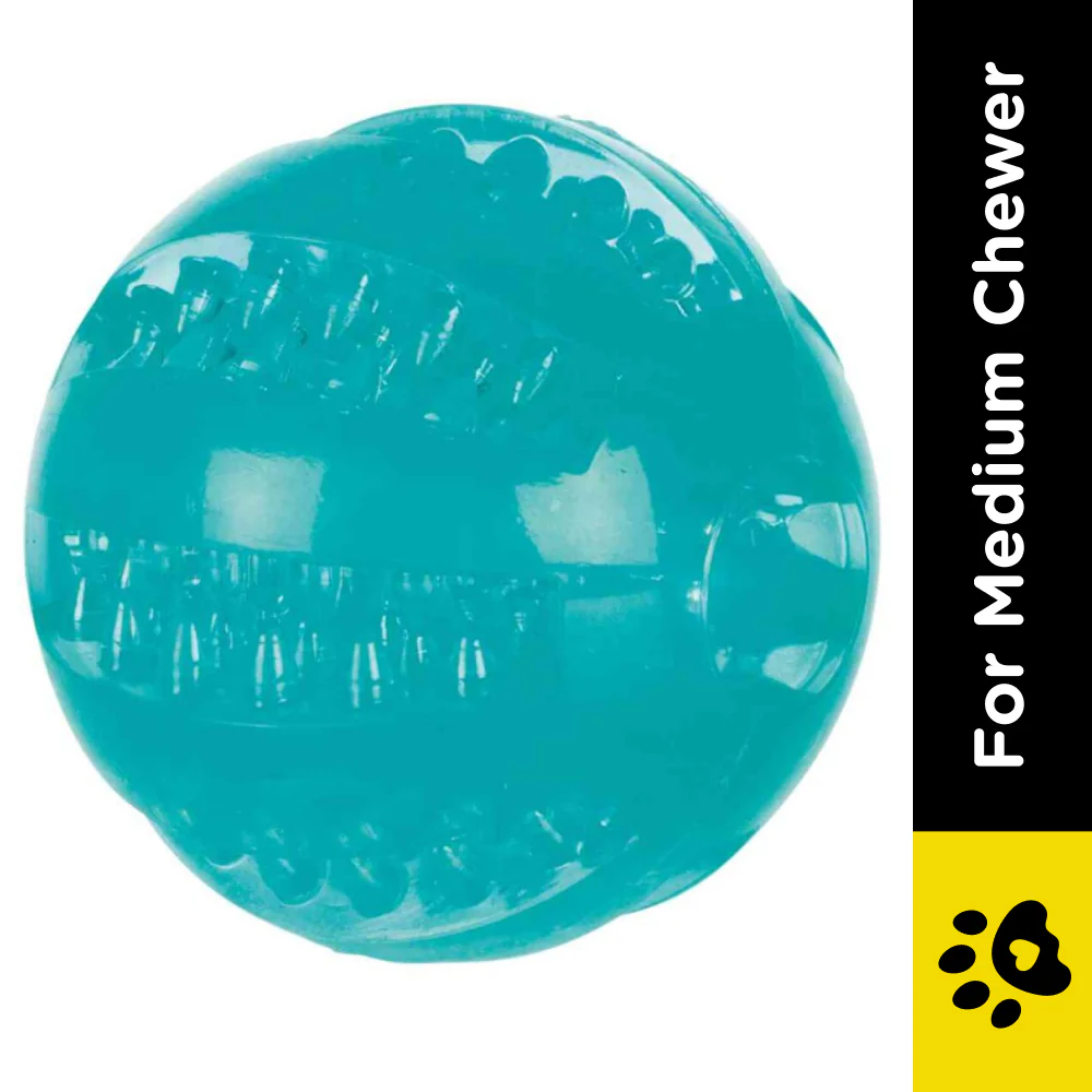 Trixie Denta Fun Ball Mint Flavour TPR Rubber Toy for Dogs - Image 2
