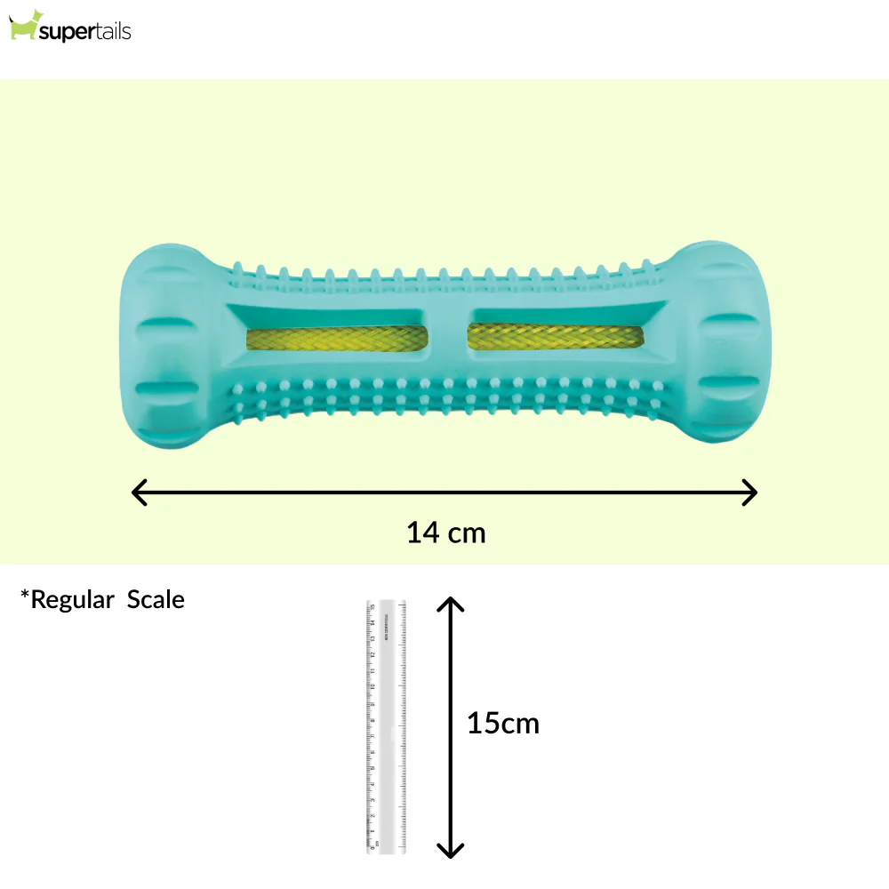 Trixie Denta Mint Flavour Natural Rubber Fun Bone Toy for Dogs - Image 2