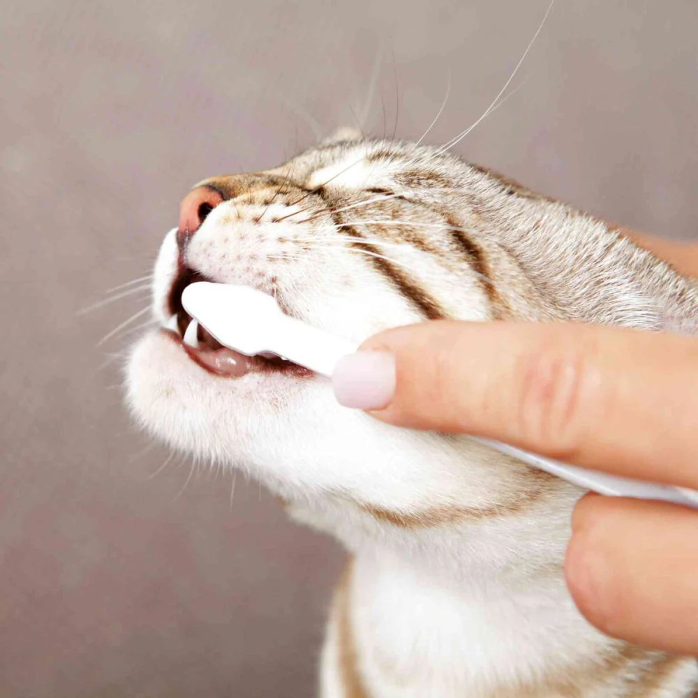 Trixie Dental Hygiene Kit for Cats - Image 3