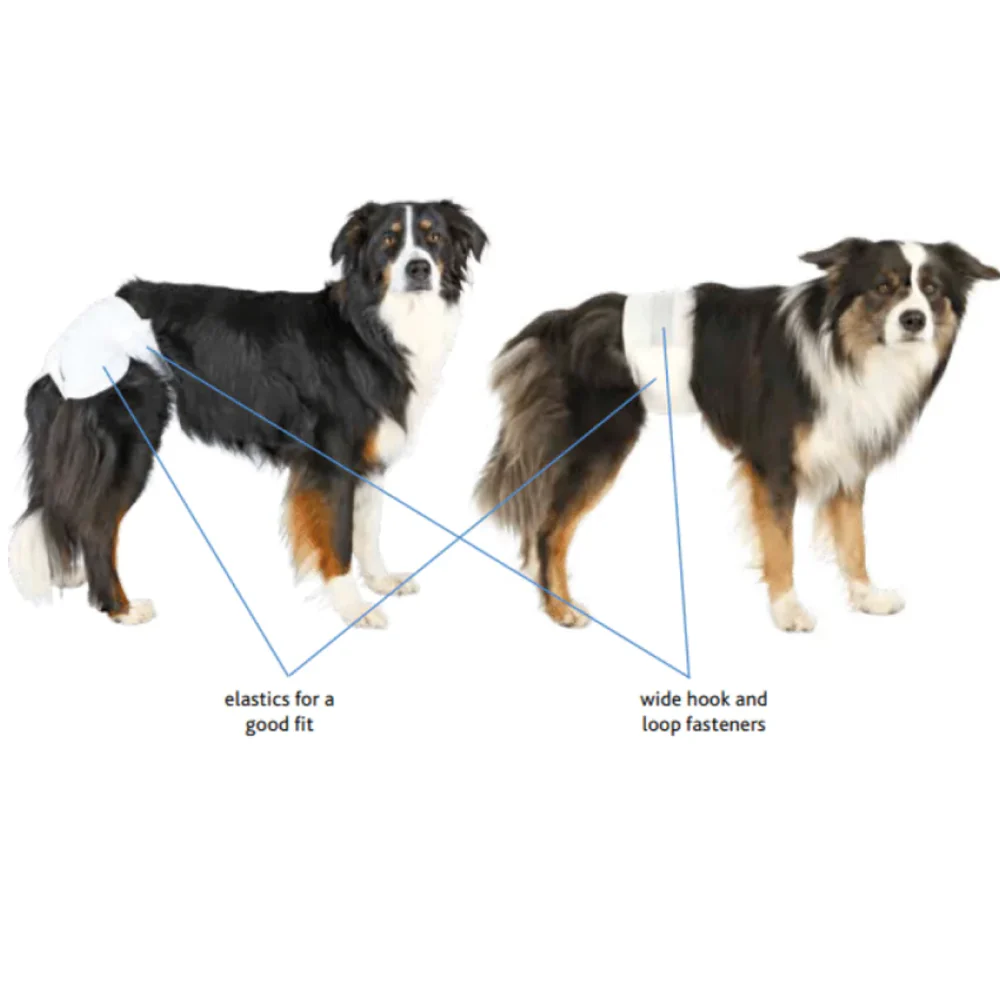 Trixie Diapers for Male Dogs (60x80cm) - Image 2