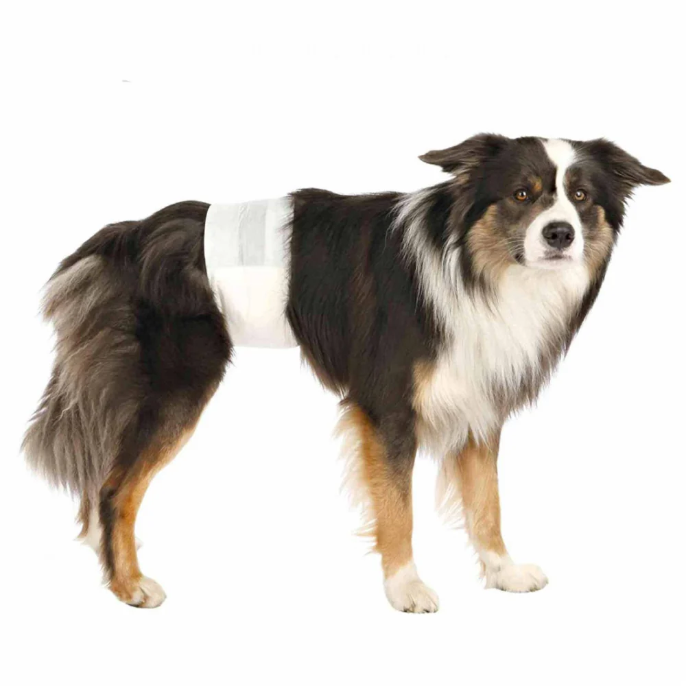 Trixie Diapers for Male Dogs (60x80cm) - Image 3