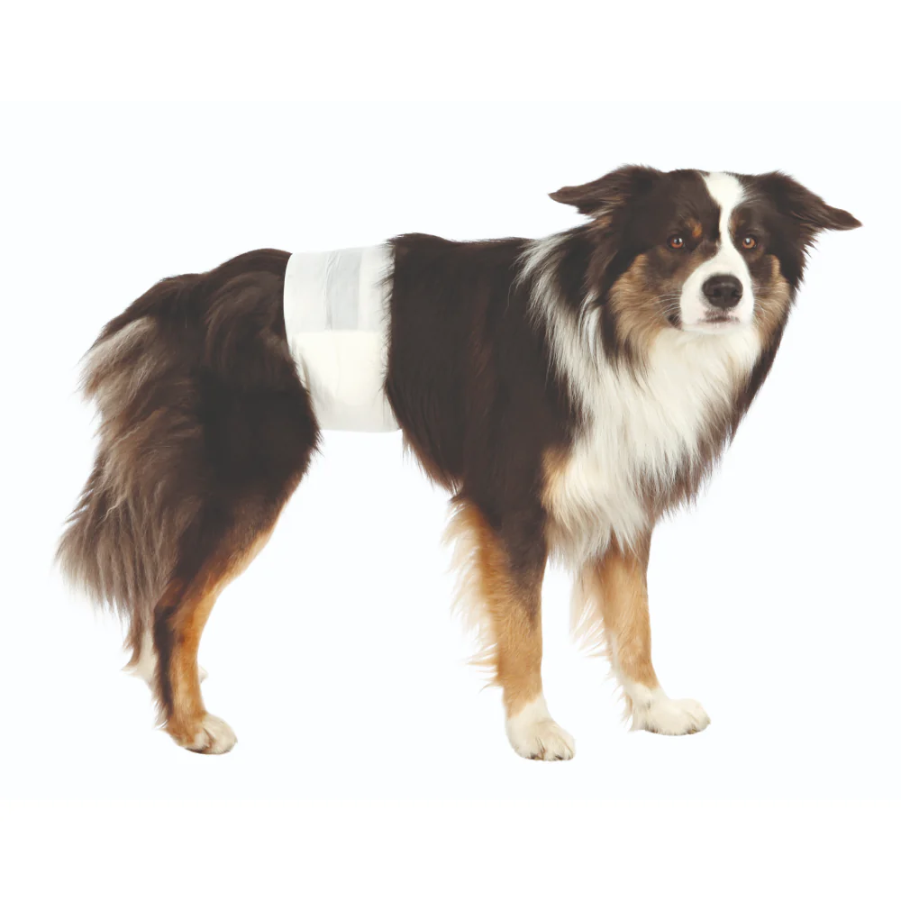 Trixie Disposible Diapers for Male Dogs (60x80cm) - Image 2