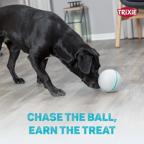 Trixie Plastic Snack Ball Toy for Dogs (Grey) - Image 8