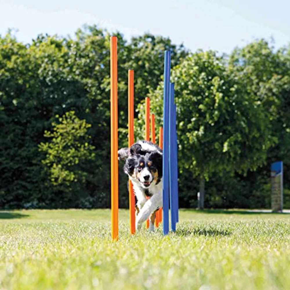 Trixie Dog Agility Slalom for Dogs (Orange/Blue) - Image 2