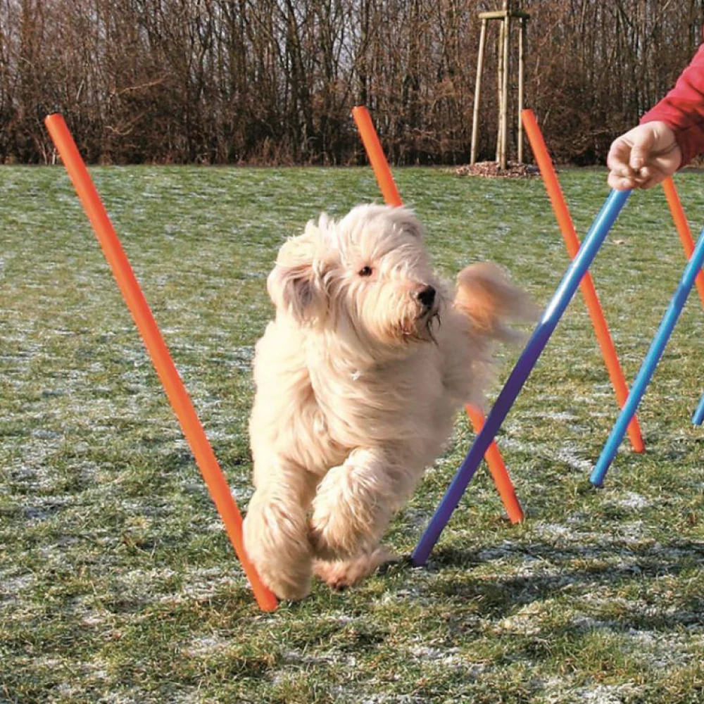 Trixie Dog Agility Slalom for Dogs (Orange/Blue) - Image 3