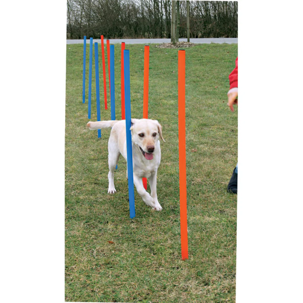Trixie Dog Agility Slalom for Dogs (Orange/Blue) - Image 4