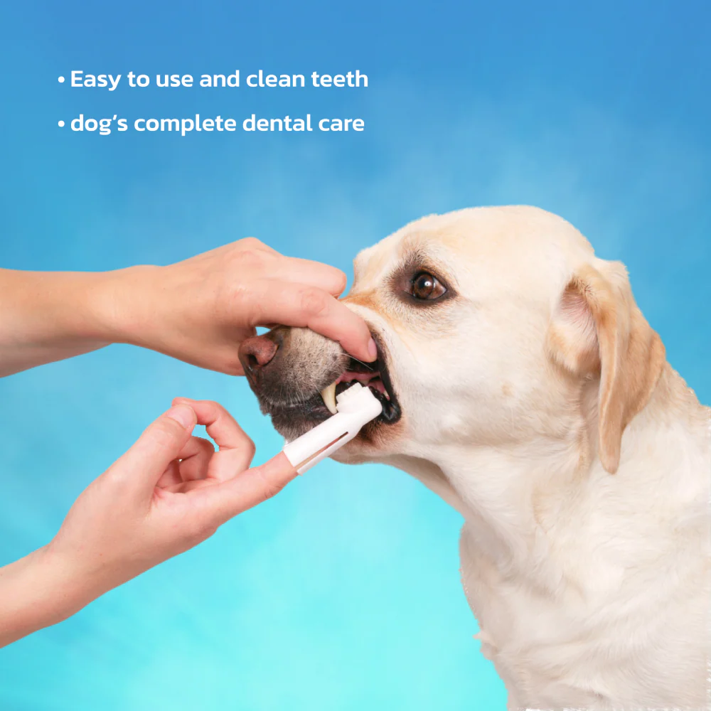 Trixie Dental Hygiene Kit for Dogs - Image 6