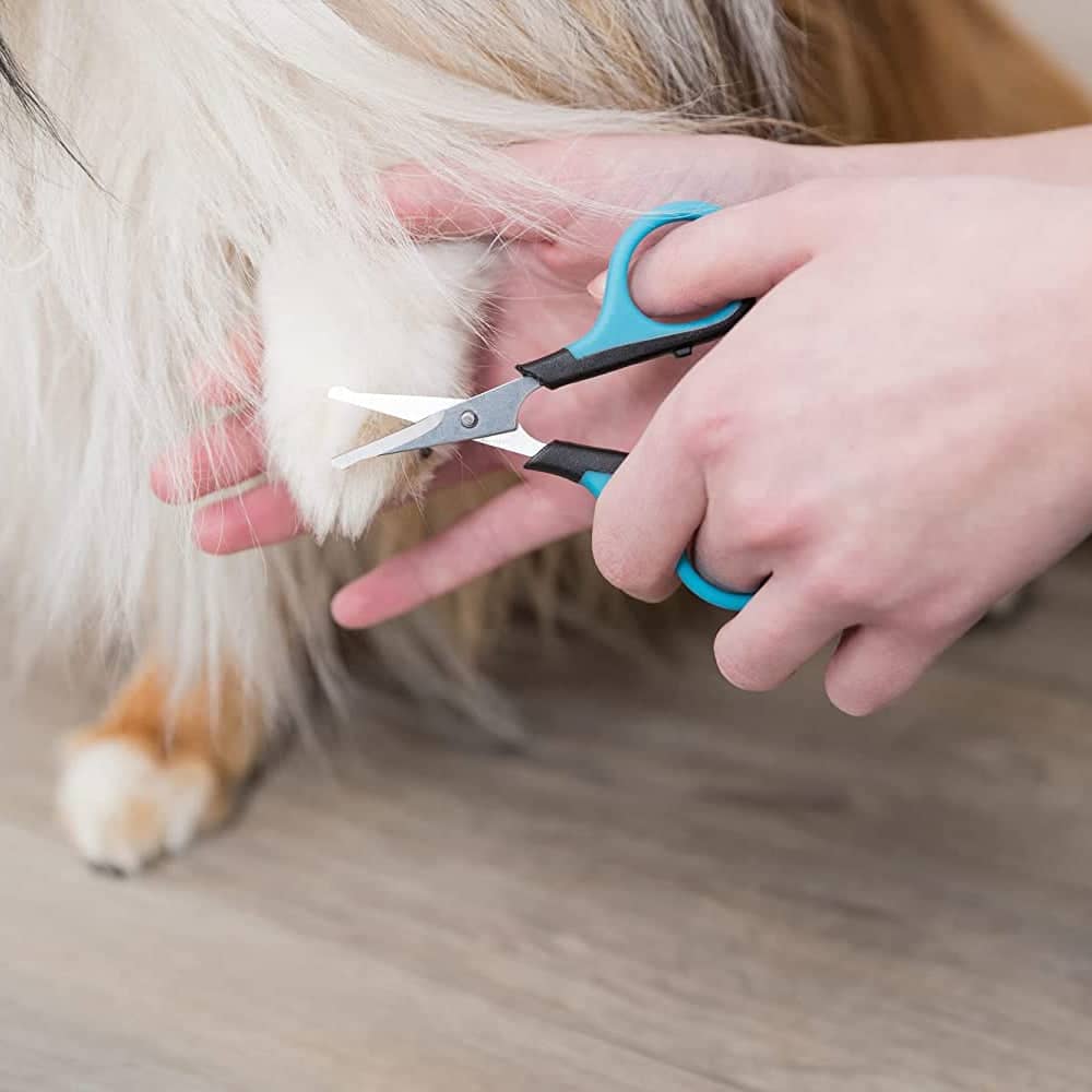 Trixie Face & Paw Scissors for Dogs and Cats - Image 5