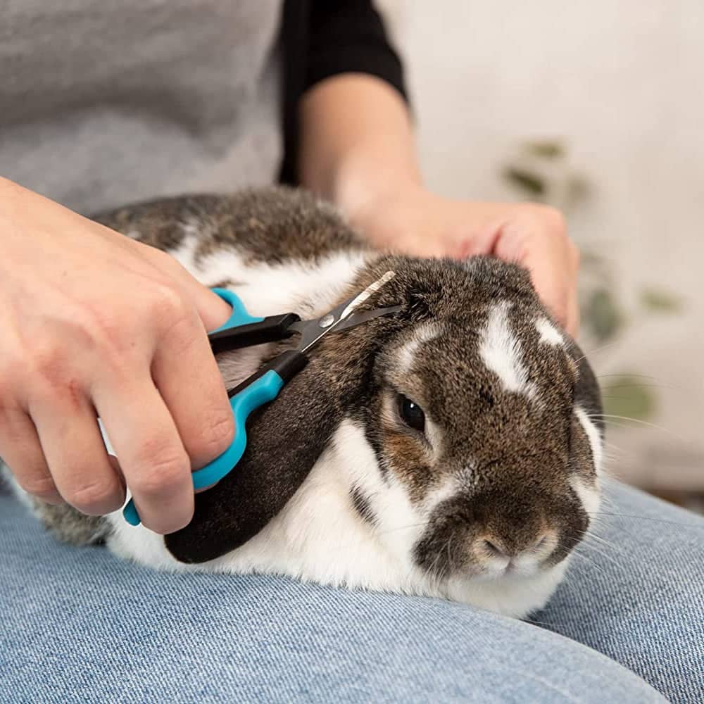 Trixie Face & Paw Scissors for Dogs and Cats - Image 6