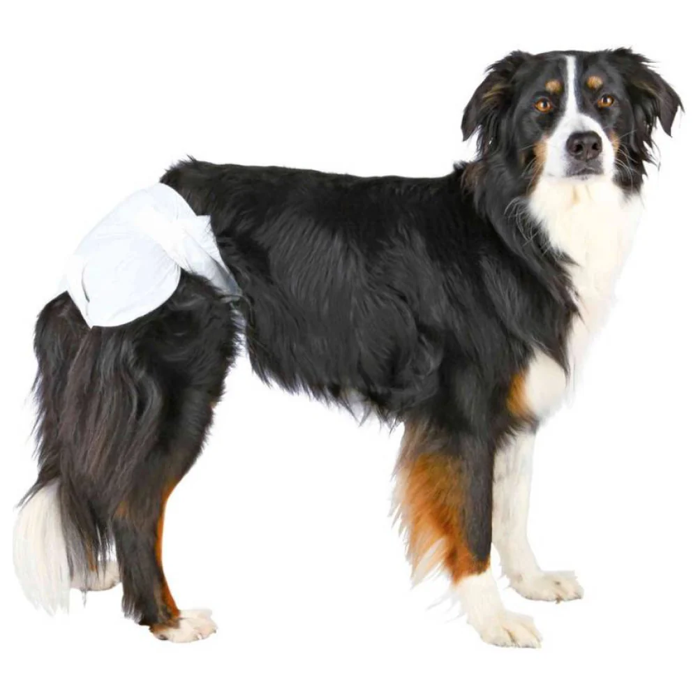 Trixie Female Diapers for Dogs (20x28cm) - Image 3