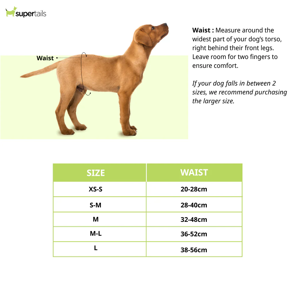 Trixie Female Diapers for Dogs (28x40cm) - Image 2