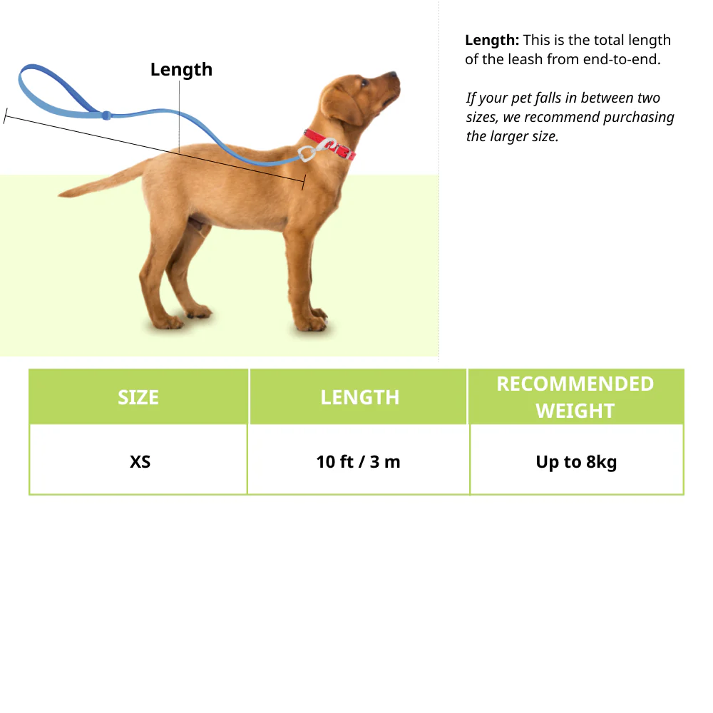 Trixie Flexi Classic Cordless Leash for Cats (Black) - Image 2