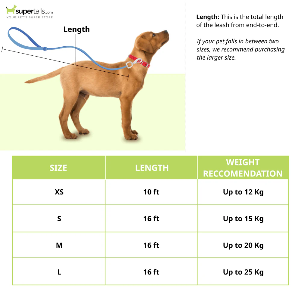 Trixie Flexi Classic Retractable Leash for Dogs and Cats (Red) - Image 2