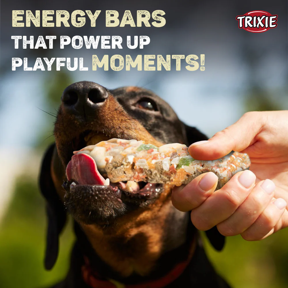 Trixie Fruits and Vegetables Energy Bars Dog Treats - Image 4