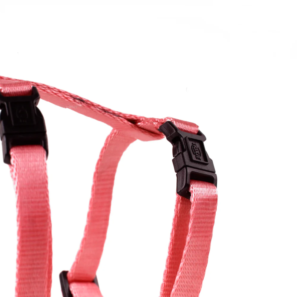 Trixie Harness with Leash for Cats & Kittens (Peach) - Image 5