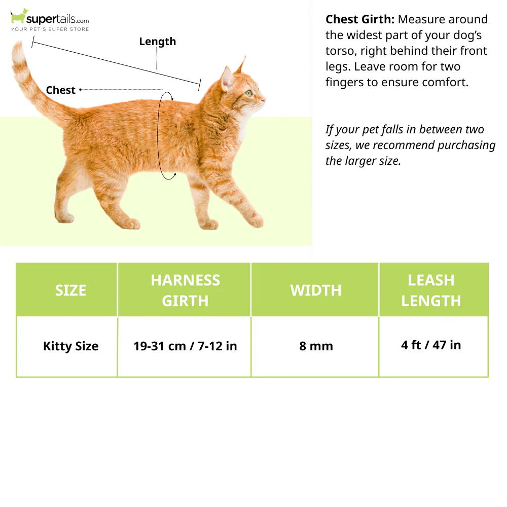 Trixie Harness with Leash for Kittens (Grey) - Image 4