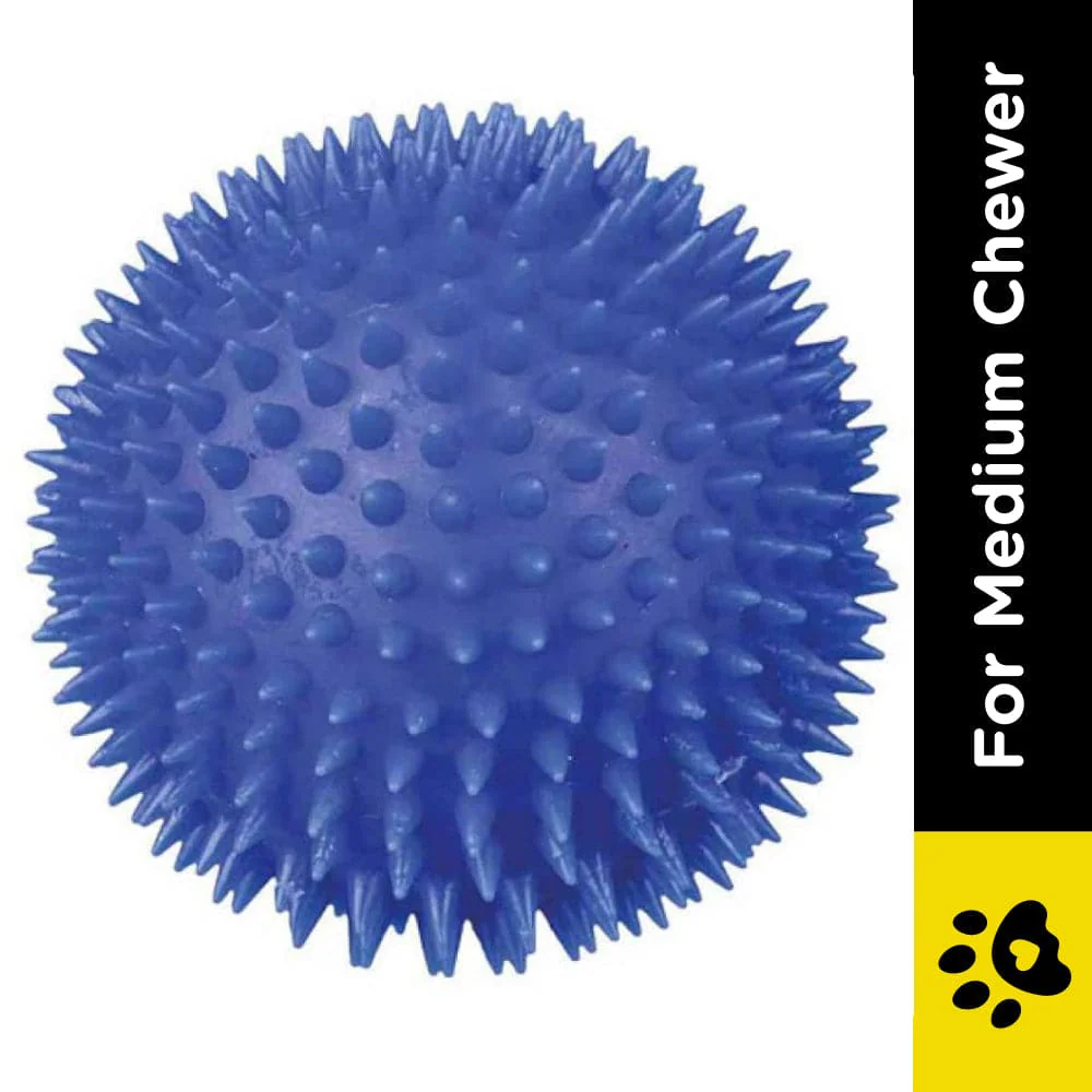 Trixie Hedgehog Ball Vinyl Toy for Dogs (Blue) - Image 2