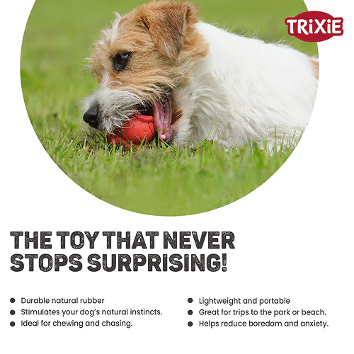 Trixie Jumper Chew Toy for Dogs (Blue) - Image 6