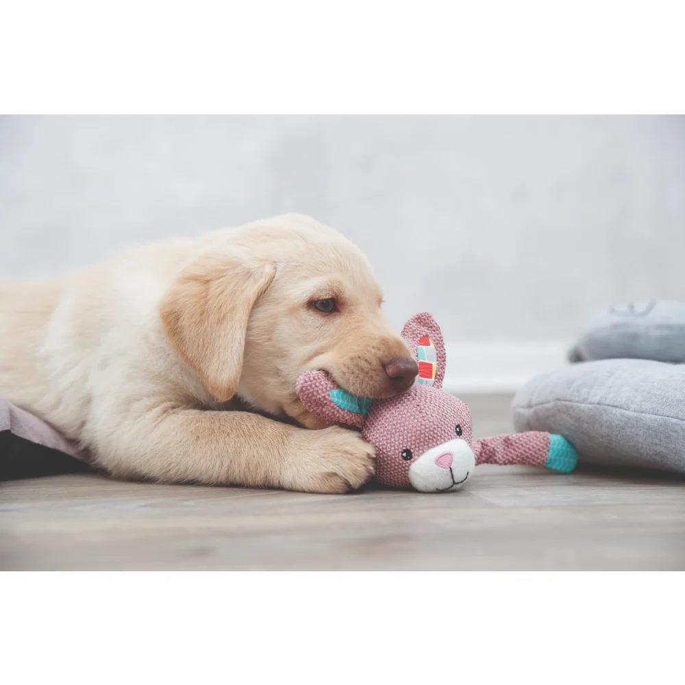 Trixie Junior Bunny Toy for Dogs - Image 3