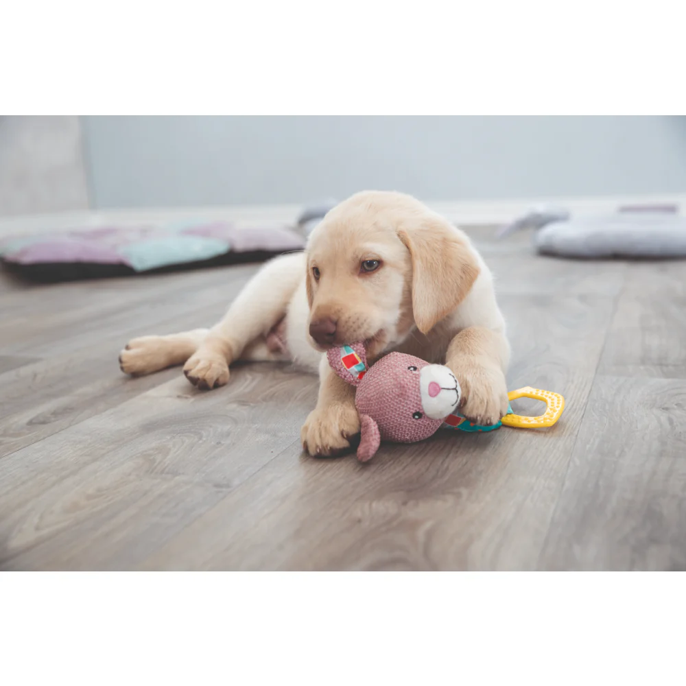 Trixie Junior Bunny Toy for Dogs - Image 4