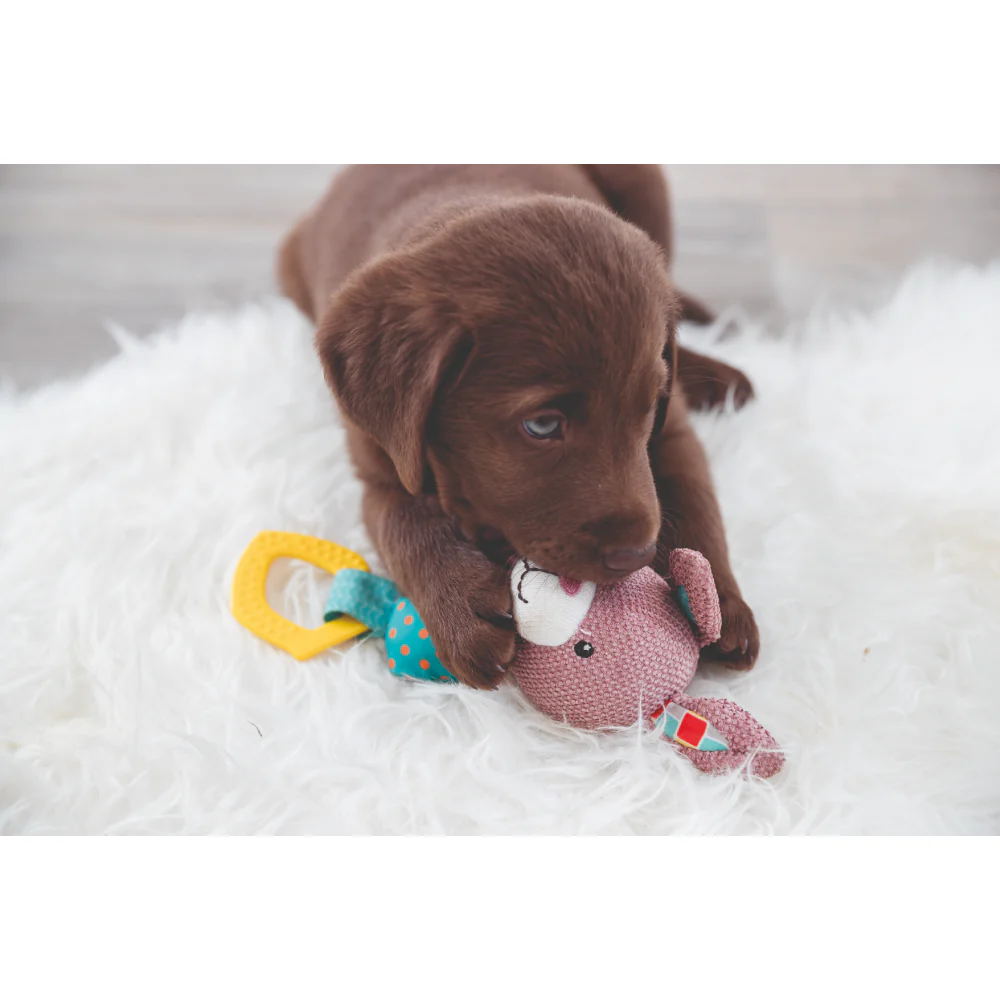 Trixie Junior Bunny Toy for Dogs - Image 5