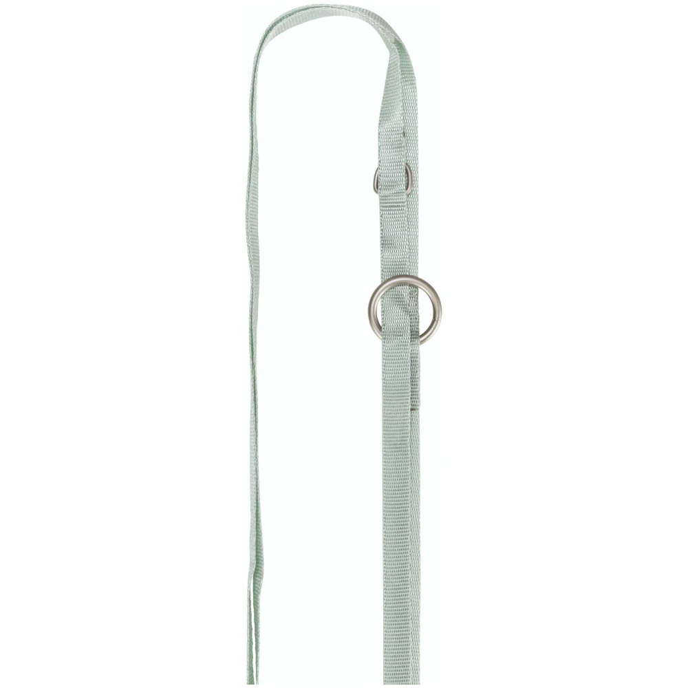 Trixie Junior Harness with Leash for Dogs (Mint) - Image 3