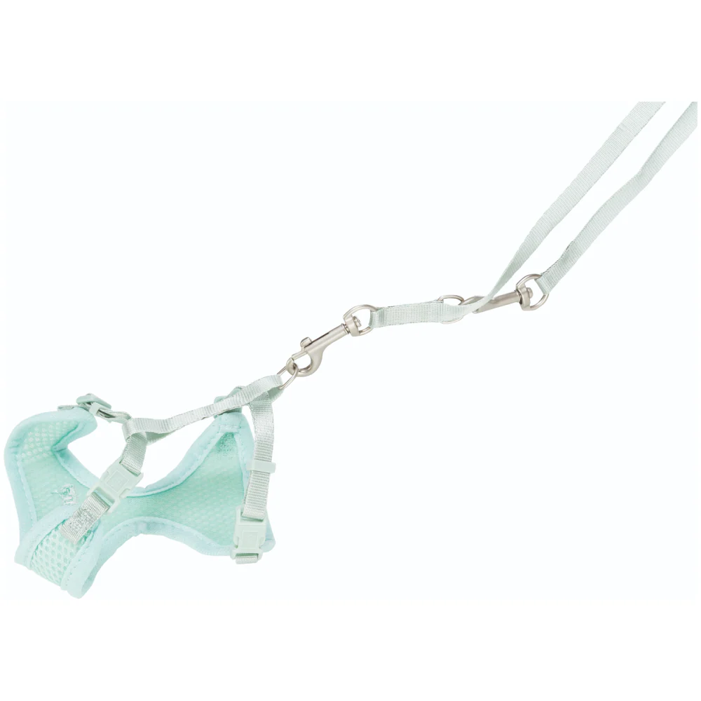 Trixie Junior Harness with Leash for Dogs (Mint) - Image 6