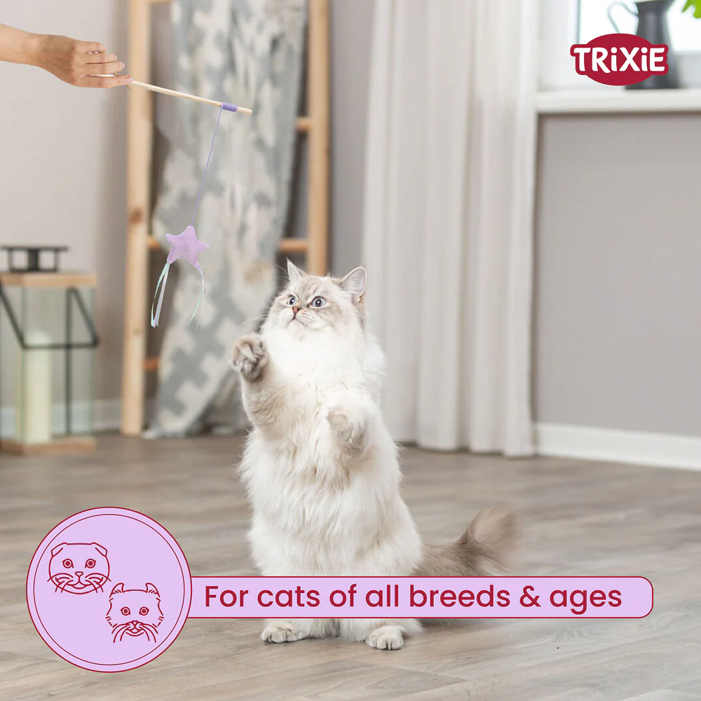 Trixie Junior Playing Rod with Star Toy for Cats - Image 6