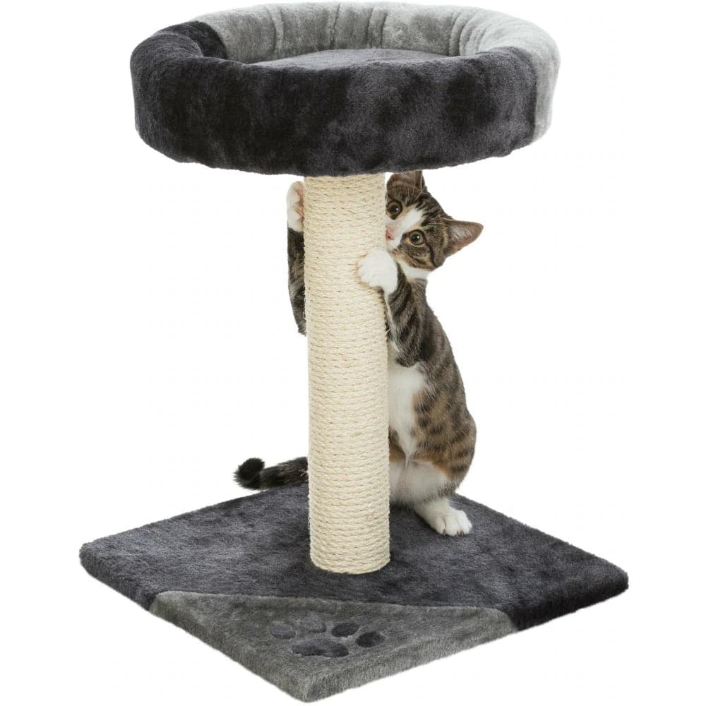 Trixie Junior Tarifa Scratching Post for Cats - Image 6