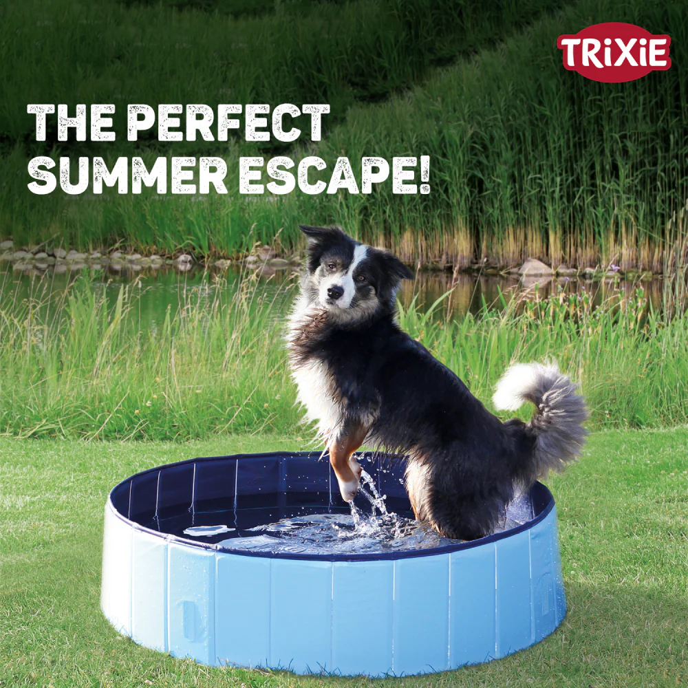 Trixie Light Swimming Pool for Dogs (Blue) - Image 3