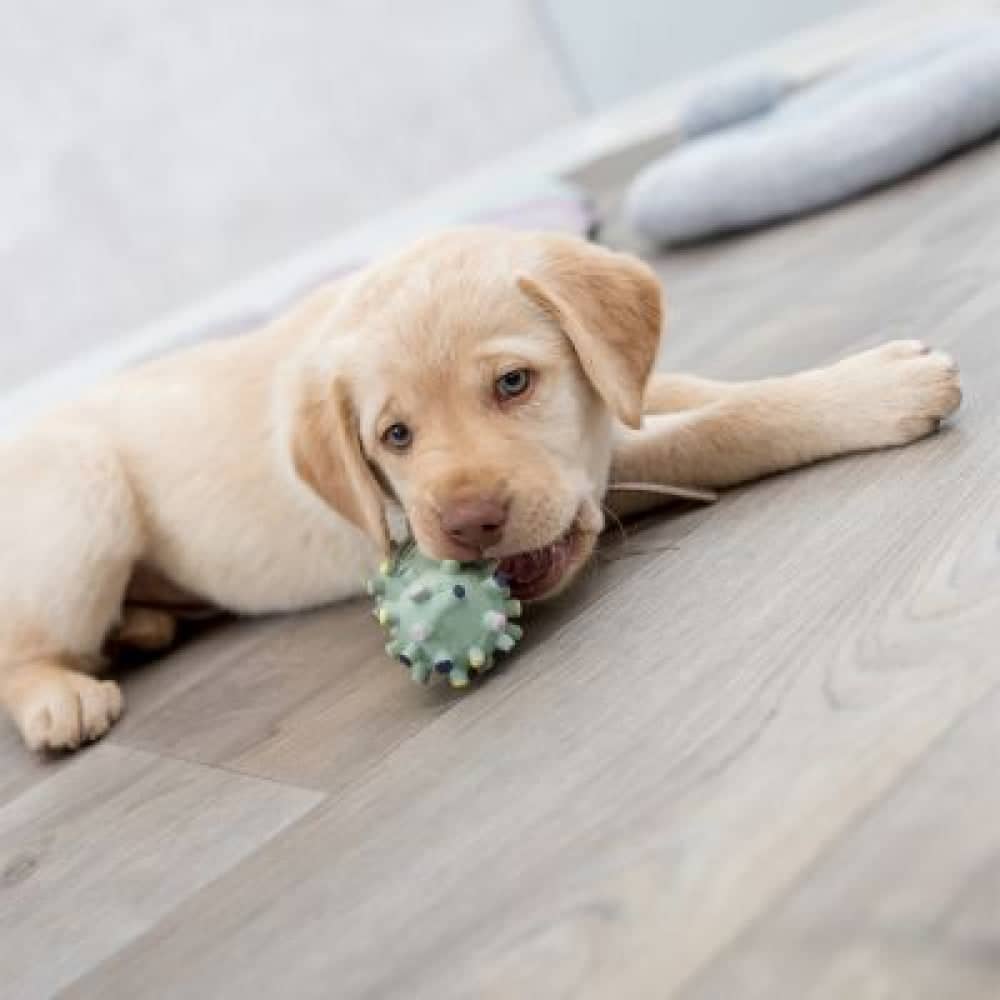 Trixie Mini Dumbbell Latex Toy for Dogs - Image 4