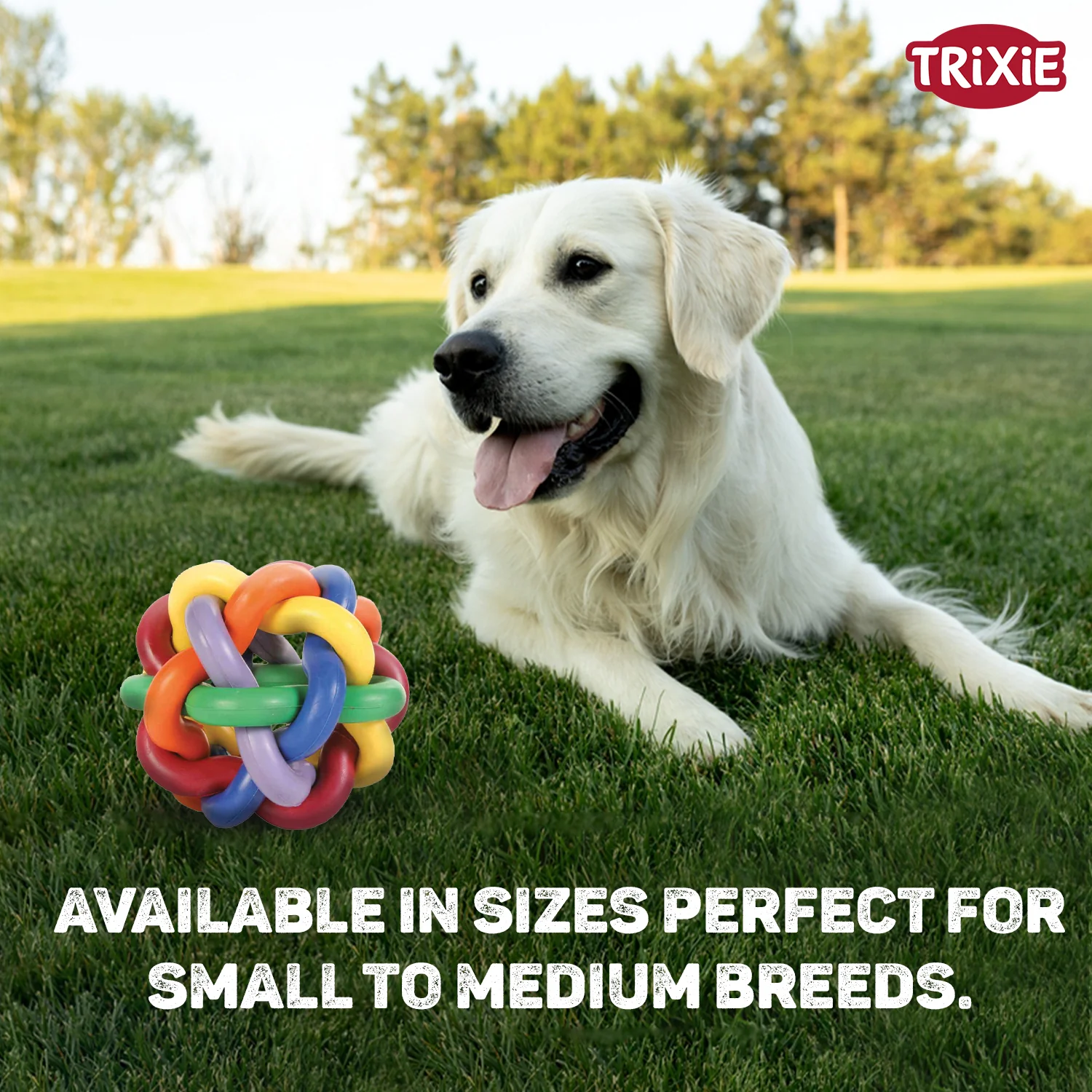 Trixie Natural Rubber Knotted Ball Chew Toy for Dogs - Image 5