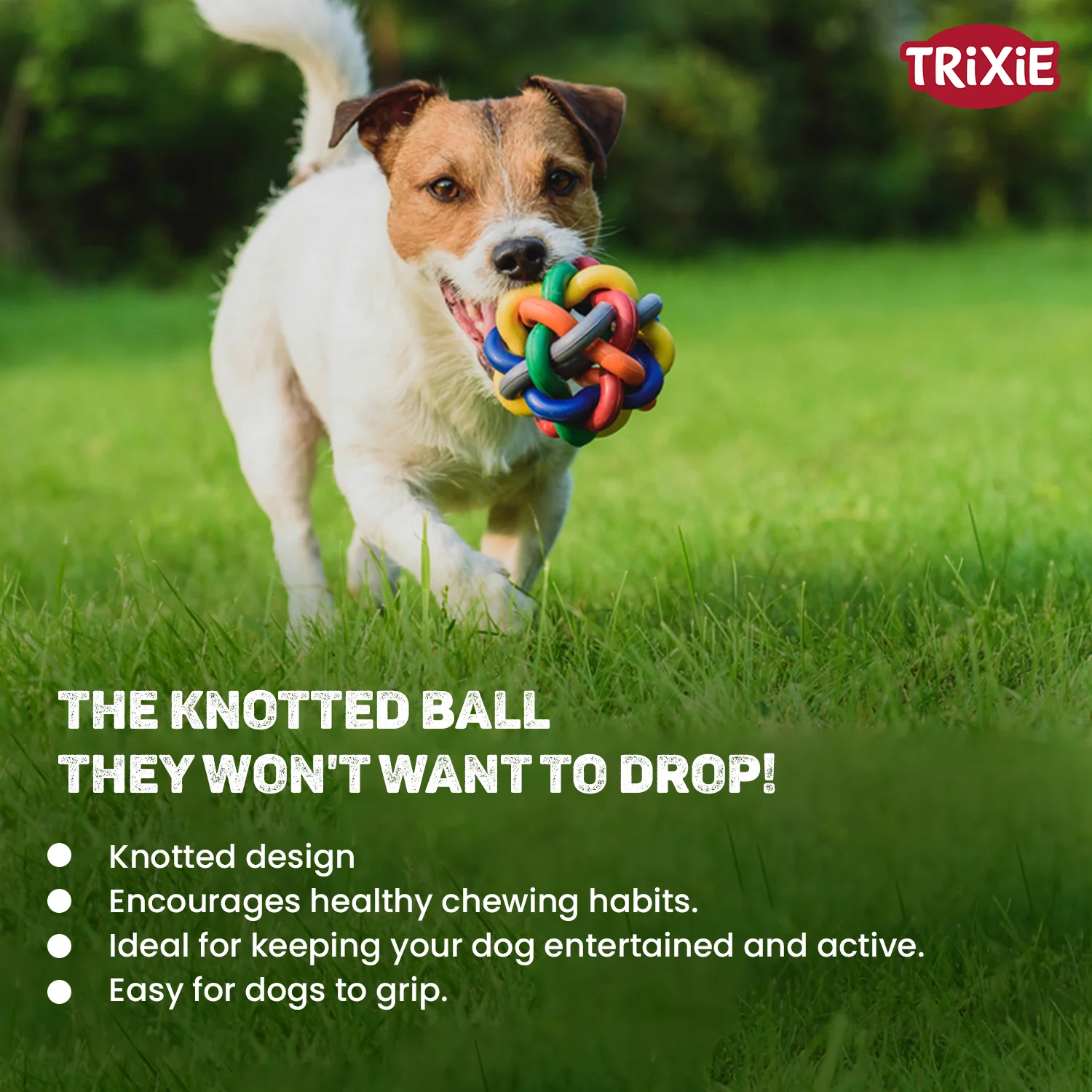 Trixie Natural Rubber Knotted Ball Chew Toy for Dogs - Image 6