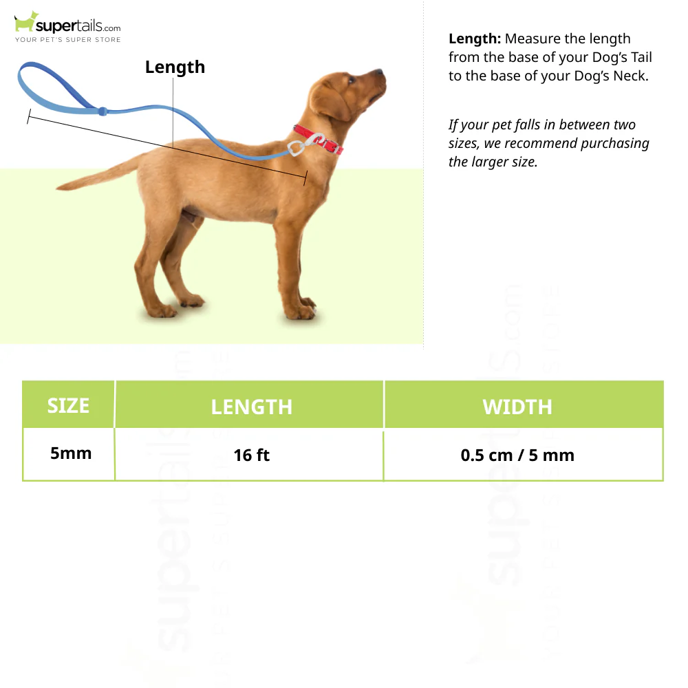 Trixie New Neon M Tape Leash for Dogs (Pink) - Image 2
