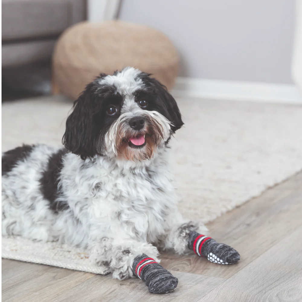 Trixie Non Slip Socks for Dogs (Grey) - Image 3
