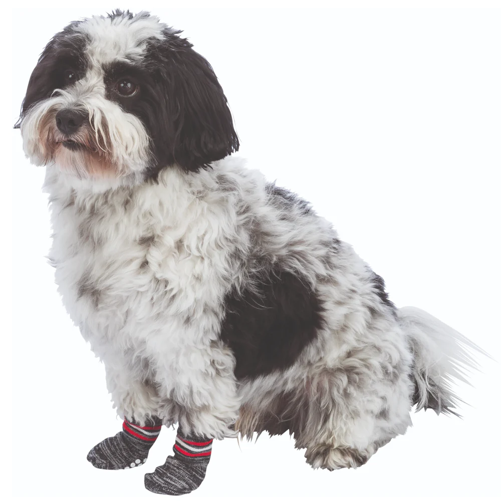 Trixie Non Slip Socks for Dogs (Grey) - Image 4