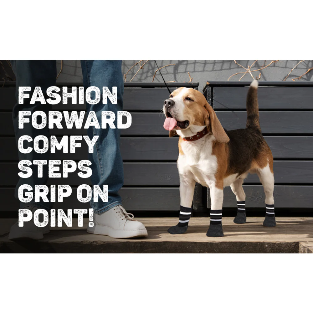 Trixie Non Slip with All Round Rubber Coated Socks for Dogs (Black) - Image 4