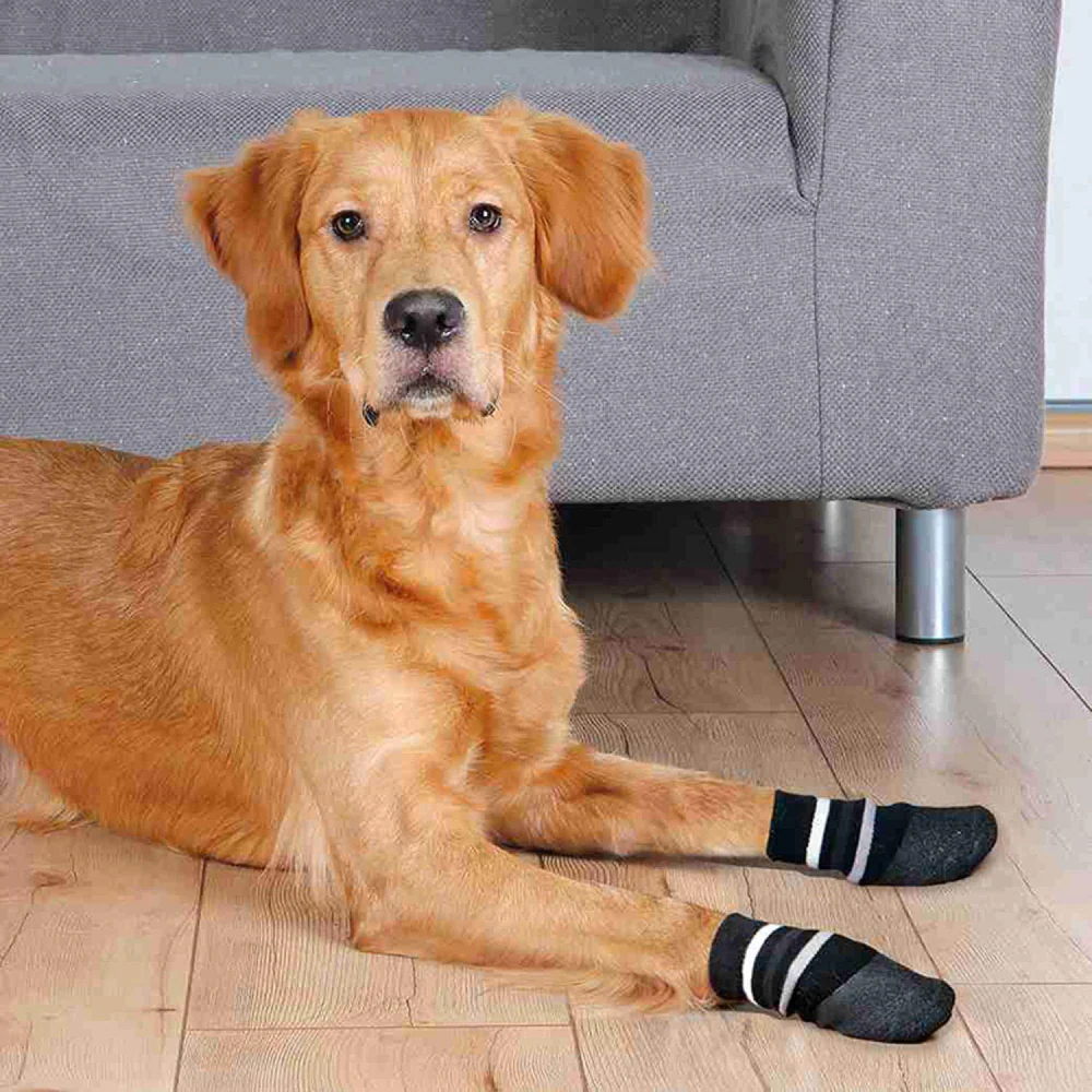 Trixie Non Slip with All Round Rubber Coated Socks for Dogs (Black) - Image 5